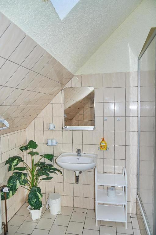 Ferienwohnung Schwalbenhof Woellnau Doberschutz Exterior foto