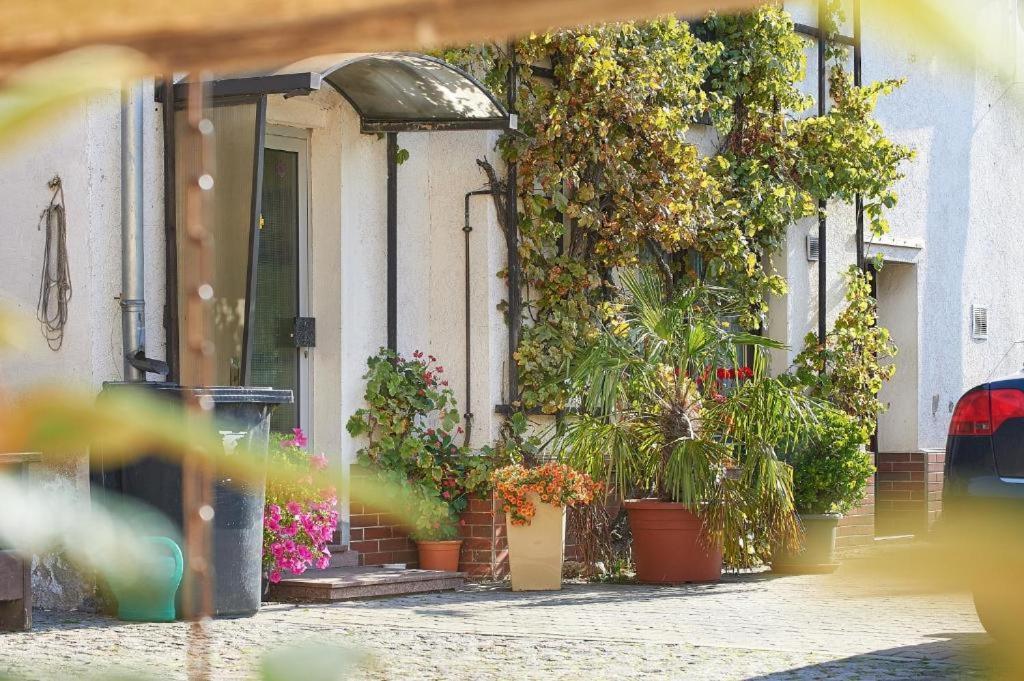 Ferienwohnung Schwalbenhof Woellnau Doberschutz Exterior foto